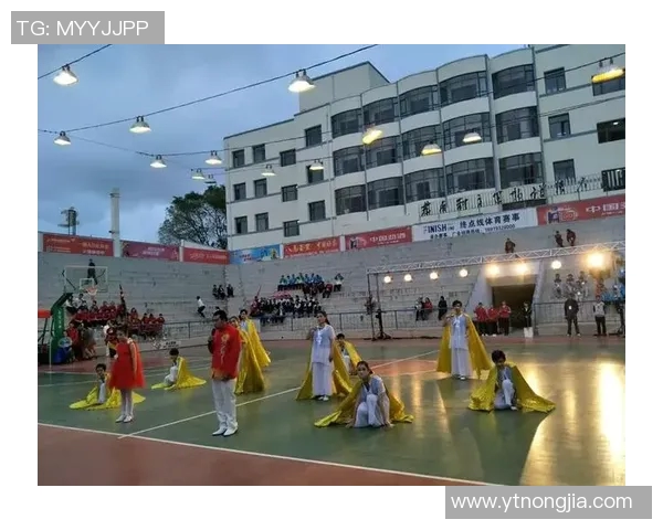 专访杨敏：探寻排球背后的成功秘诀与奋斗历程