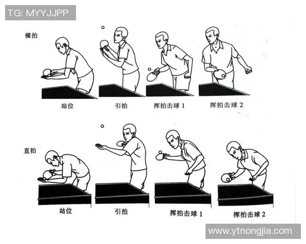 南京乒乓球队整体压制的深度分析与战术解读