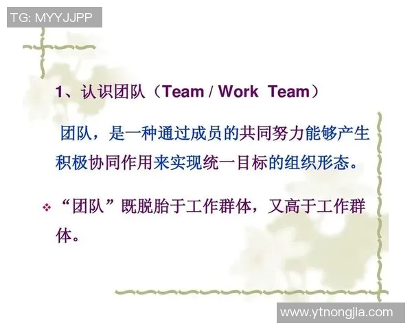 南京羽毛球队配合表现数据分析揭示团队协作与竞技水平的关系 南京羽毛球队配合表现数据分析揭示团队协作与竞技水平的关系