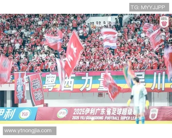 吴川足球明星赛事全面盘点及其历史影响与发展趋势分析