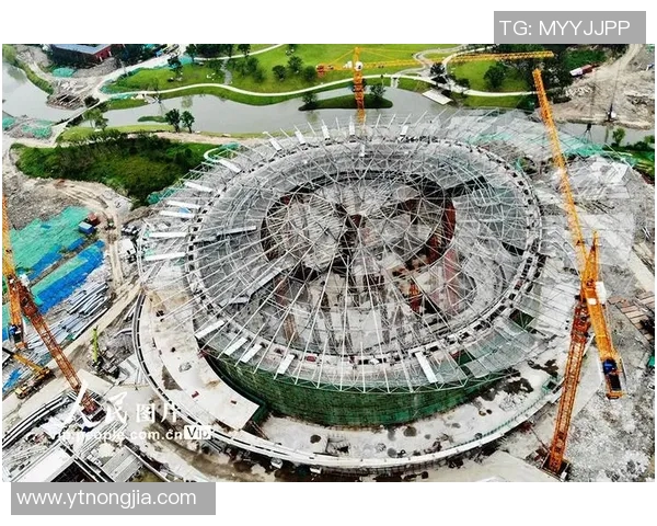 杭州乒乓球队阵地战的得失分析与未来展望