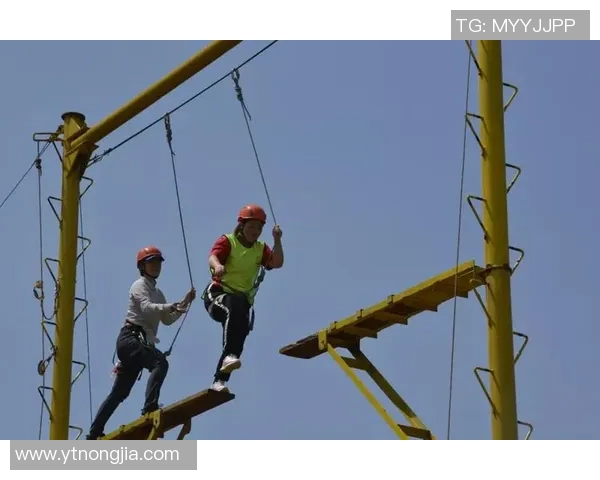 广州篮球队的默契配合揭秘：团队协作如何成就胜利之路