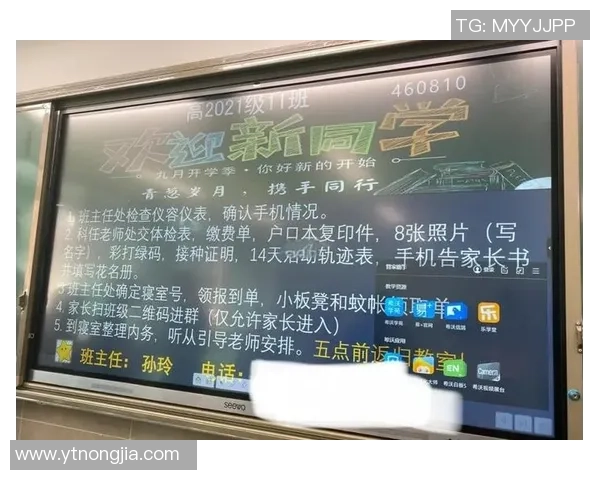 武汉排球队的蜕变之旅世界锦标赛背后的奋斗与坚持