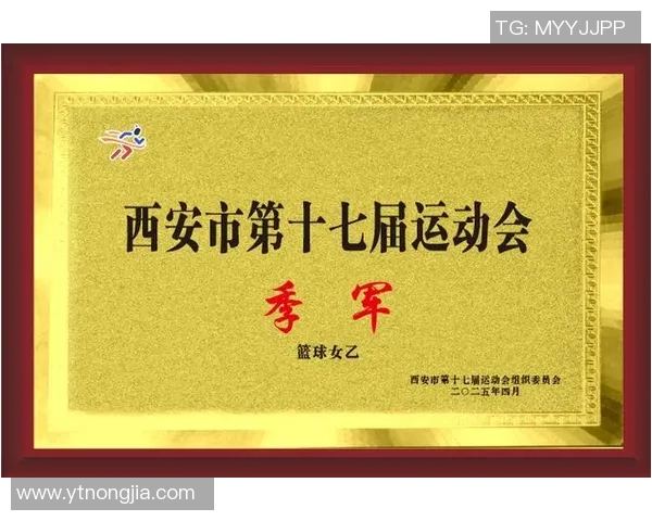 西安篮球队比赛经验对比深度剖析与未来发展展望