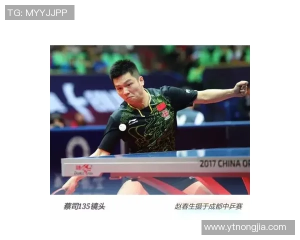 陈芳专访:回顾乒乓球辉煌历程与心路历程的深度对话 陈芳专访:回顾乒乓球辉煌历程与心路历程的深度对话