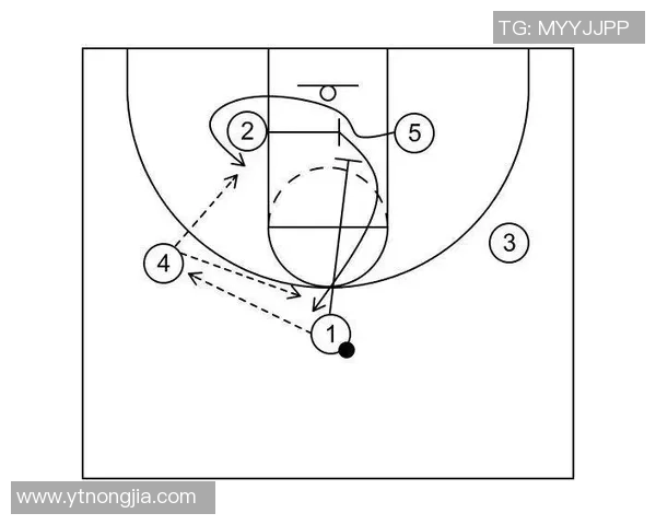 北京篮球队战术解析与未来发展展望探讨